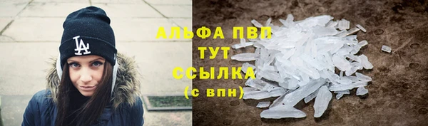 мет Алексин