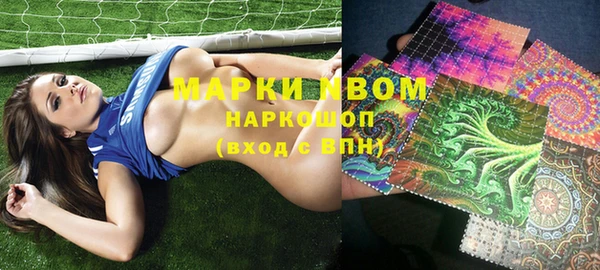 мет Алексин