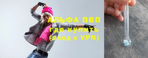мет Алексин