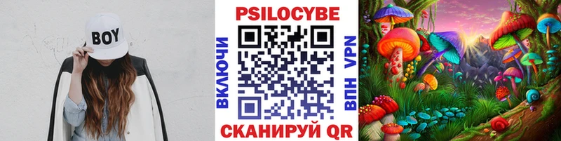 MEGA ссылка дарнет шоп Пыталово Псилоцибиновые грибы мицелий